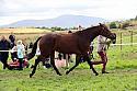 Carnwath2025Ring1727