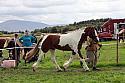 Carnwath2025Ring1738