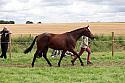 Carnwath2025Ring1758