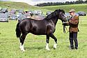 Carnwath2025Ring1760
