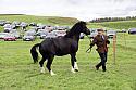 Carnwath2025Ring1767
