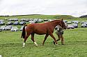 Carnwath2025Ring1777