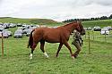 Carnwath2025Ring1778