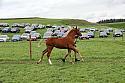 Carnwath2025Ring1779