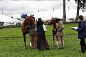 Carnwath2025Ring1785