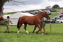 Carnwath2025Ring1806