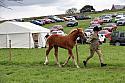 Carnwath2025Ring1807