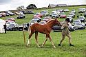 Carnwath2025Ring1808