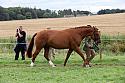 Carnwath2025Ring1812