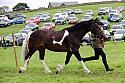 Carnwath2025Ring1815