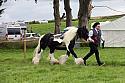 Carnwath2025Ring1821