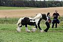 Carnwath2025Ring1825