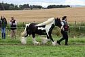 Carnwath2025Ring1827