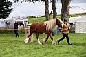 Carnwath2025Ring1831