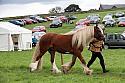 Carnwath2025Ring1832