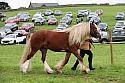 Carnwath2025Ring1833