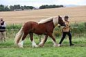 Carnwath2025Ring1837