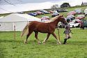 Carnwath2025Ring1840