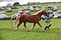 Carnwath2025Ring1841