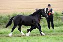 Carnwath2025Ring1857