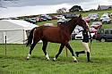 Carnwath2025Ring1860