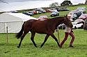 Carnwath2025Ring1866