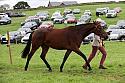 Carnwath2025Ring1867