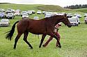 Carnwath2025Ring1869