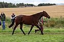 Carnwath2025Ring1871