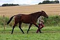 Carnwath2025Ring1872