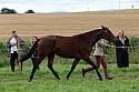 Carnwath2025Ring1874