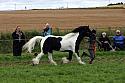 Carnwath2025Ring1878