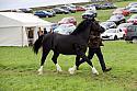 Carnwath2025Ring1892