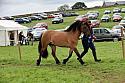 Carnwath2025Ring1896