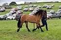 Carnwath2025Ring1897