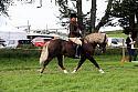 Carnwath2025Ring1906