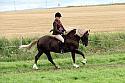 Carnwath2025Ring1914