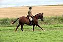 Carnwath2025Ring1917