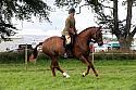 Carnwath2025Ring1923