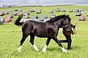Carnwath2025Ring1939