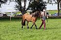 Carnwath2025Ring1940