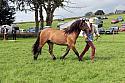 Carnwath2025Ring1942