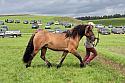 Carnwath2025Ring1945