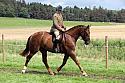 Carnwath2025Ring1950