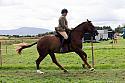 Carnwath2025Ring1952