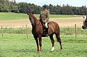Carnwath2025Ring1954
