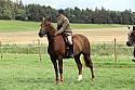 Carnwath2025Ring1955