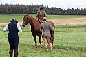Carnwath2025Ring1959