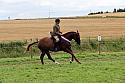 Carnwath2025Ring1977