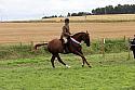 Carnwath2025Ring1978